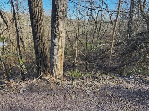 633 Sir Richard Drive, Marthasville, MO 63357