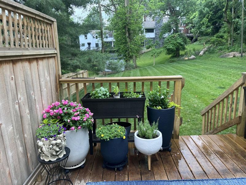 1083 Montague Road, Park Hills, KY 41011 Photo 32