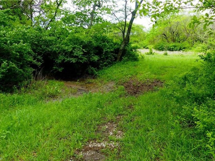 Property Image 26