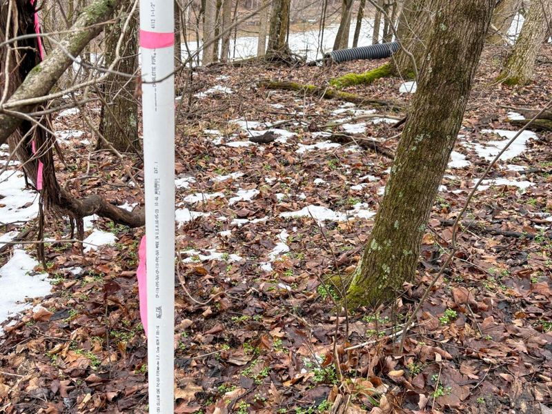 0 Tract 4 Twp Rd 815 , Woodsfield, OH 43793 Photo 10