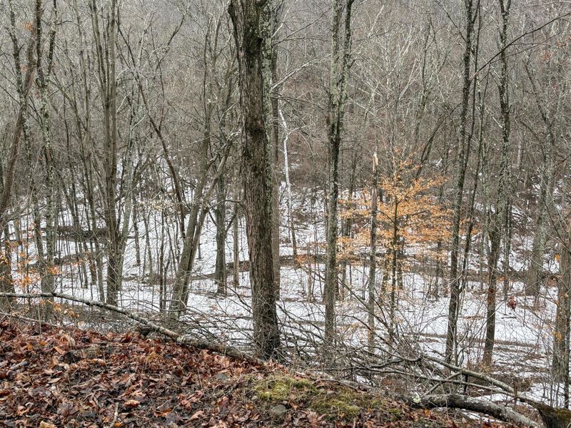 0 Tract 4 Twp Rd 815 , Woodsfield, OH 43793 Photo 13