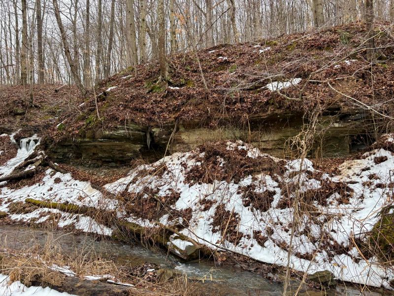 0 Tract 4 Twp Rd 815 , Woodsfield, OH 43793 Photo 14