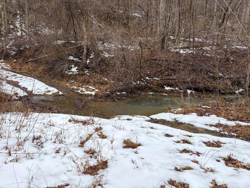 0 Tract 4 Twp Rd 815 , Woodsfield, OH 43793 Photo 16