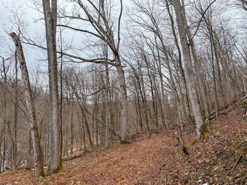 0 Tract 4 Twp Rd 815 , Woodsfield, OH 43793 Photo 19