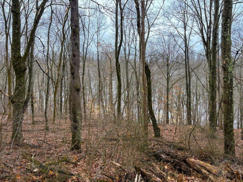 0 Tract 4 Twp Rd 815 , Woodsfield, OH 43793 Photo 25