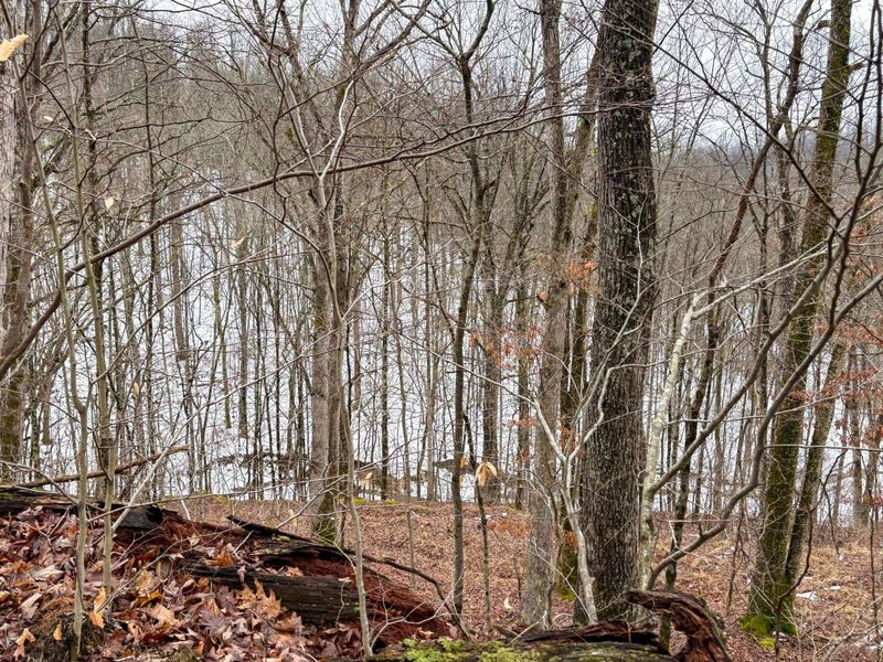 0 Tract 4 Twp Rd 815 , Woodsfield, OH 43793 Photo 30