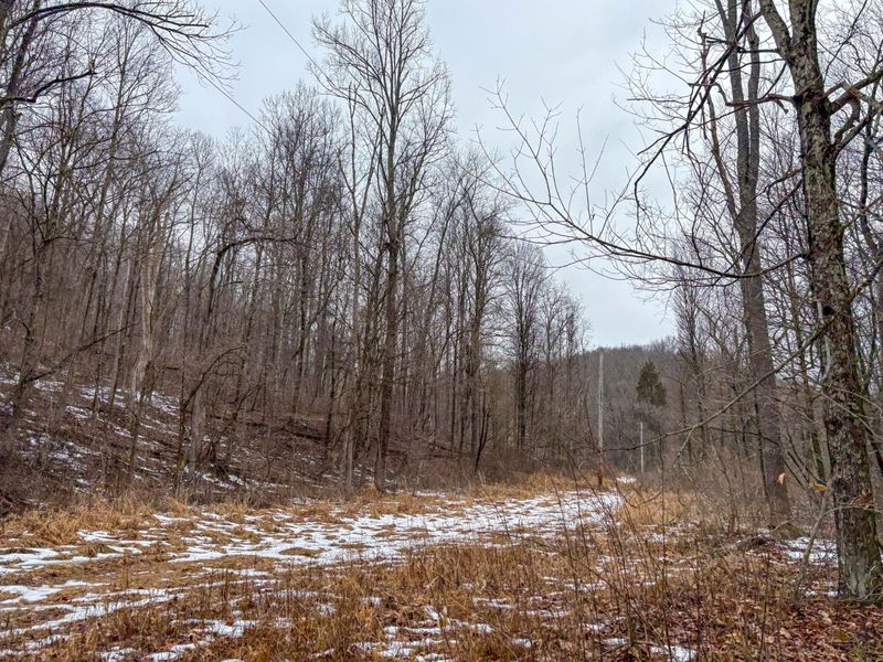 0 Tract 4 Twp Rd 815 , Woodsfield, OH 43793 Photo 5