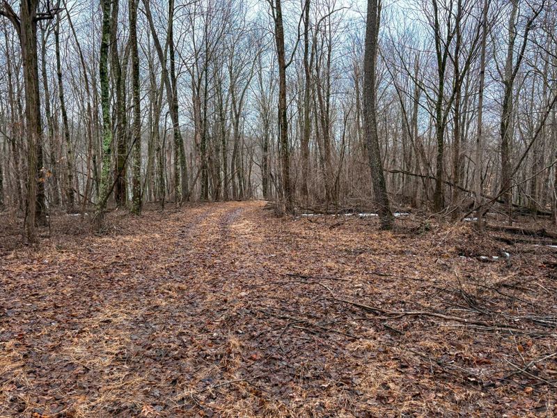 0 Tract 4 Twp Rd 815 , Woodsfield, OH 43793 Photo 6