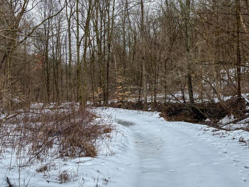 0 Tract 4 Twp Rd 815 , Woodsfield, OH 43793 Photo 8