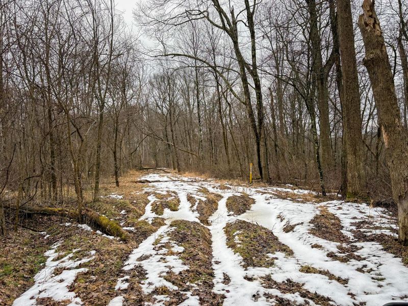 0 Tract 5 Mann , Woodsfield, OH 43793 Photo 14