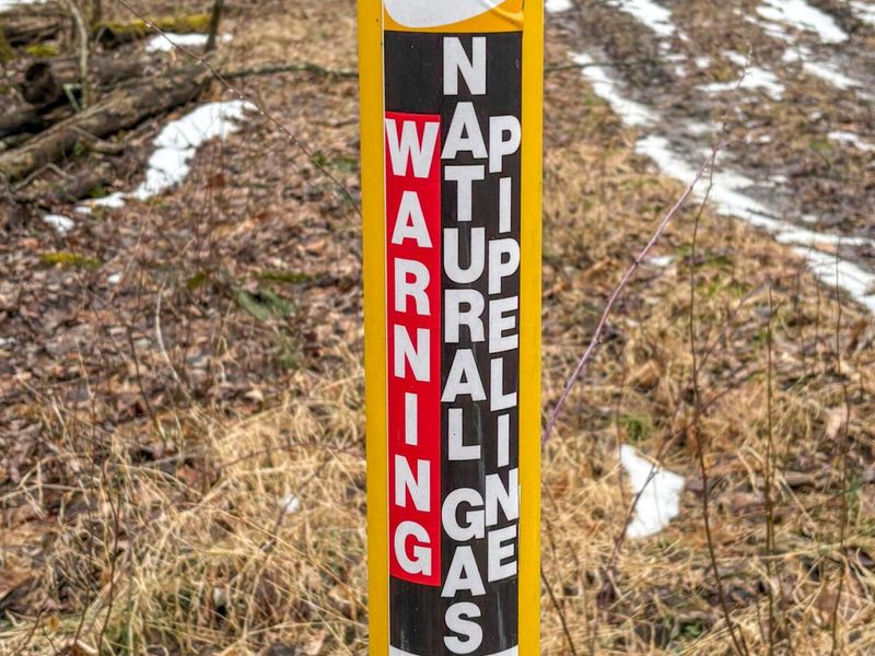 0 Tract 5 Mann , Woodsfield, OH 43793 Photo 16