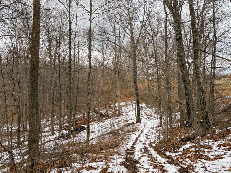 0 Tract 5 Mann , Woodsfield, OH 43793 Photo 19