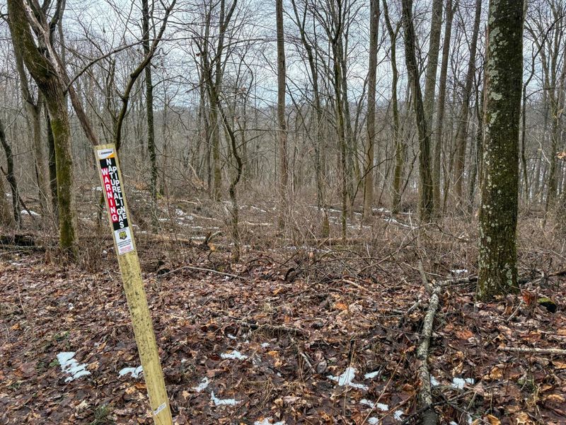 0 Tract 5 Mann , Woodsfield, OH 43793 Photo 4