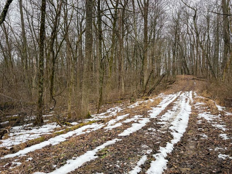 0 Tract 5 Mann , Woodsfield, OH 43793 Photo 5