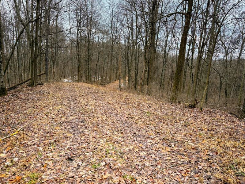 0 Tract 5 Mann , Woodsfield, OH 43793 Photo 6