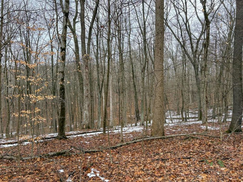 0 Tract 5 Mann , Woodsfield, OH 43793 Photo 9