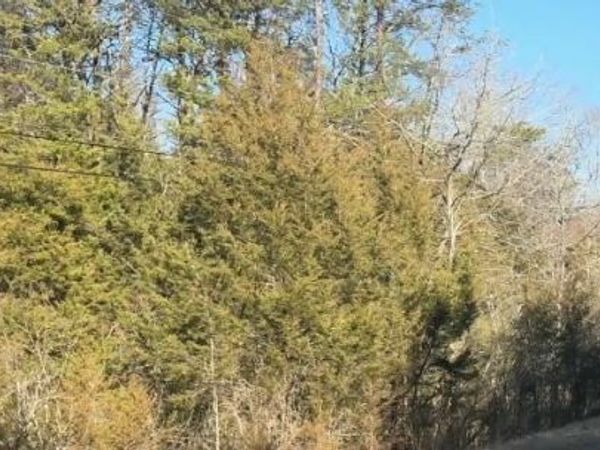 0 Alex Bales Rd Lot 1 Rd, Kodak, TN 37764