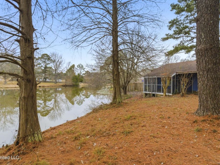 Property Image 52