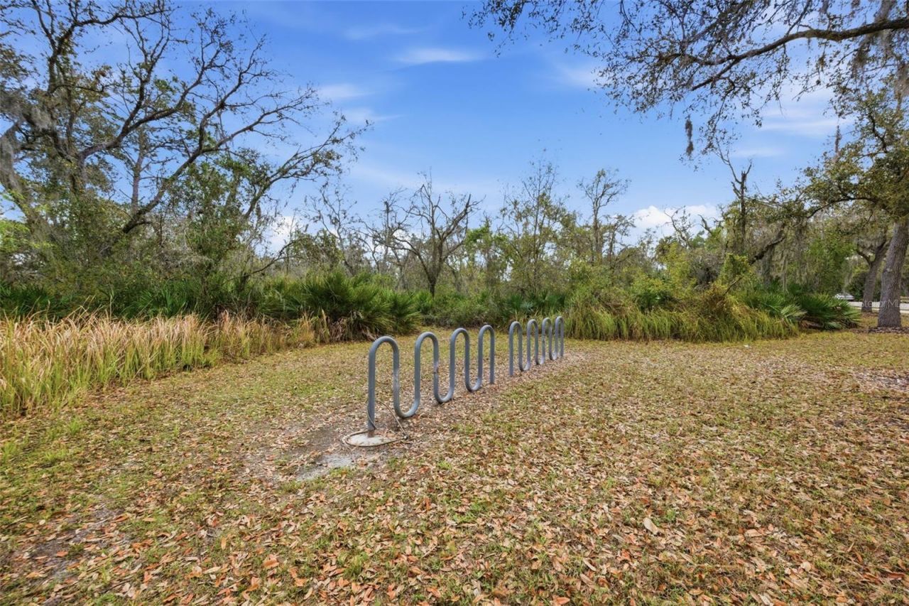 15815 31st Street E, Parrish, FL 34219 Photo