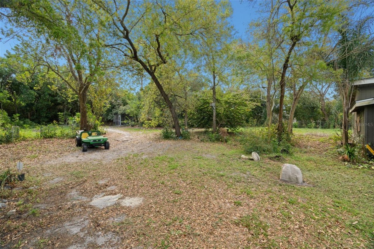 6890 County Road 95, Palm Harbor, FL 34684 Photo