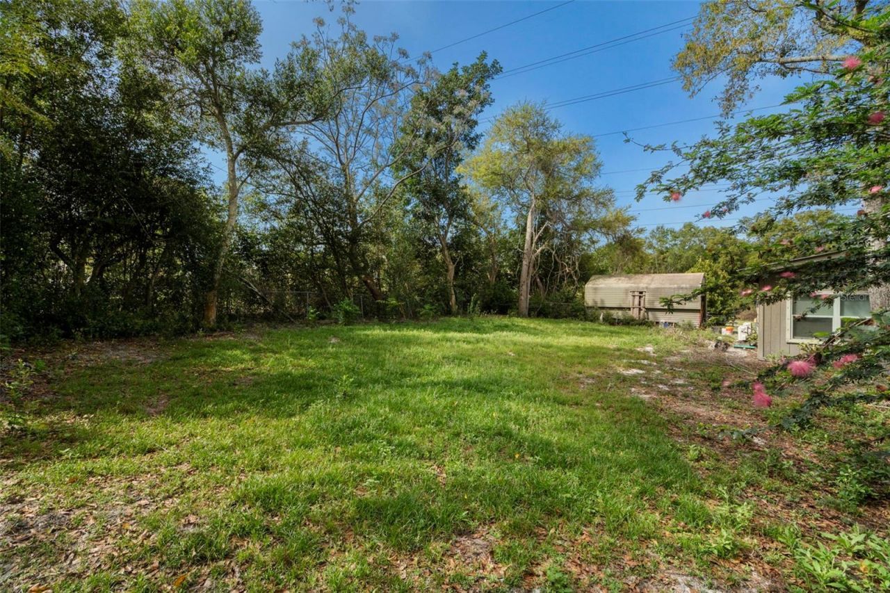 6890 County Road 95, Palm Harbor, FL 34684 Photo