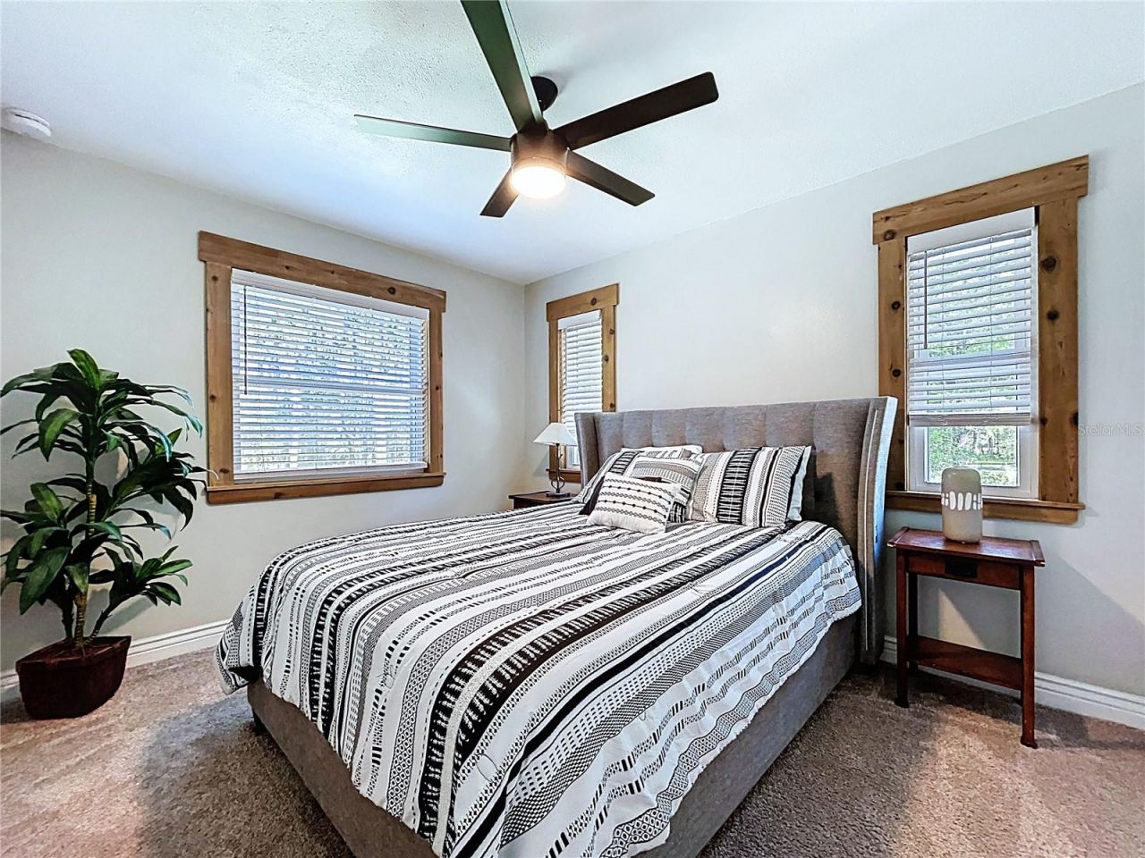 5365 Conner Drive, Land O Lakes, FL 34639 Photo