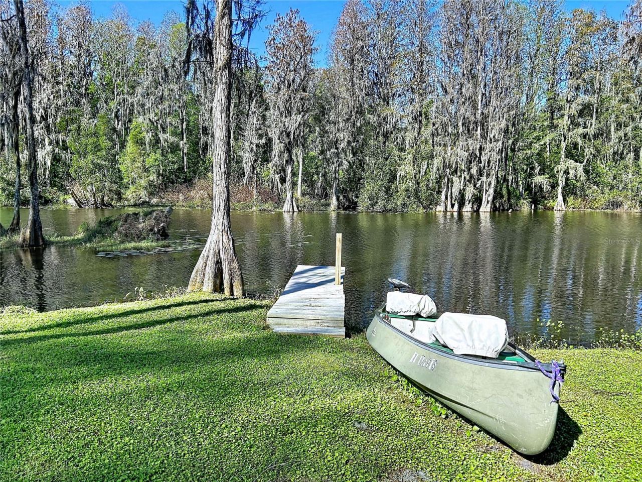 5365 Conner Drive, Land O Lakes, FL 34639 Photo