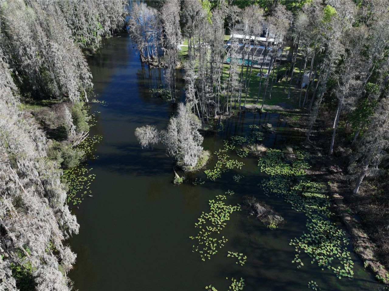 5365 Conner Drive, Land O Lakes, FL 34639 Photo