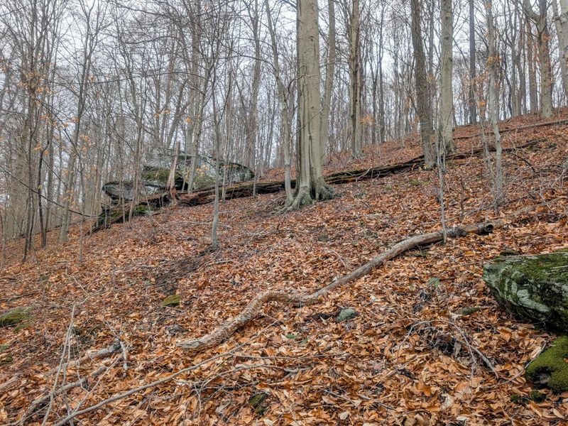 0 Tr 7 Edwina , Woodsfield, OH 43793 Photo 11