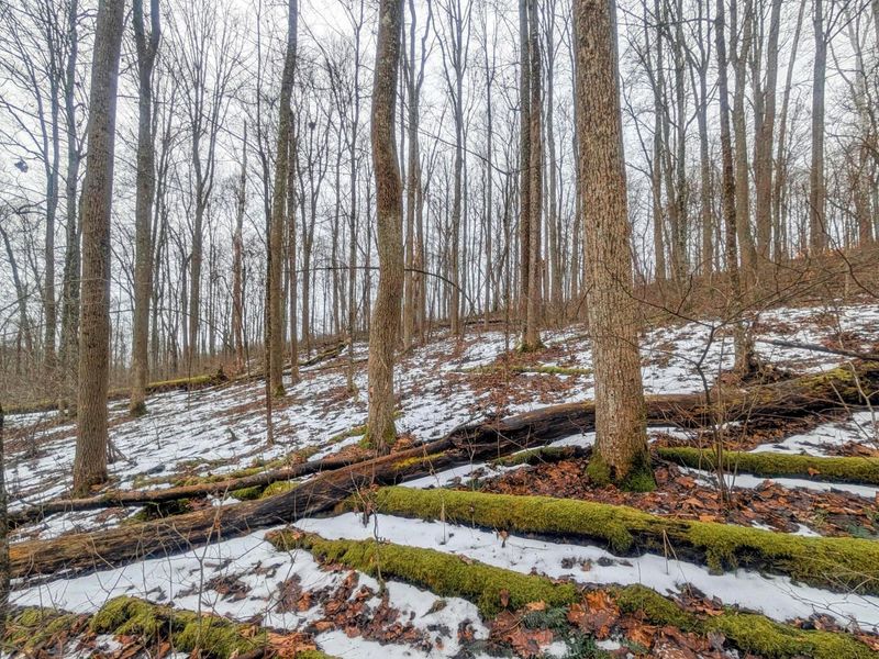 0 Tr 7 Edwina , Woodsfield, OH 43793 Photo 14