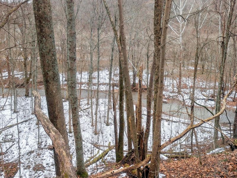 0 Tr 7 Edwina , Woodsfield, OH 43793 Photo 20