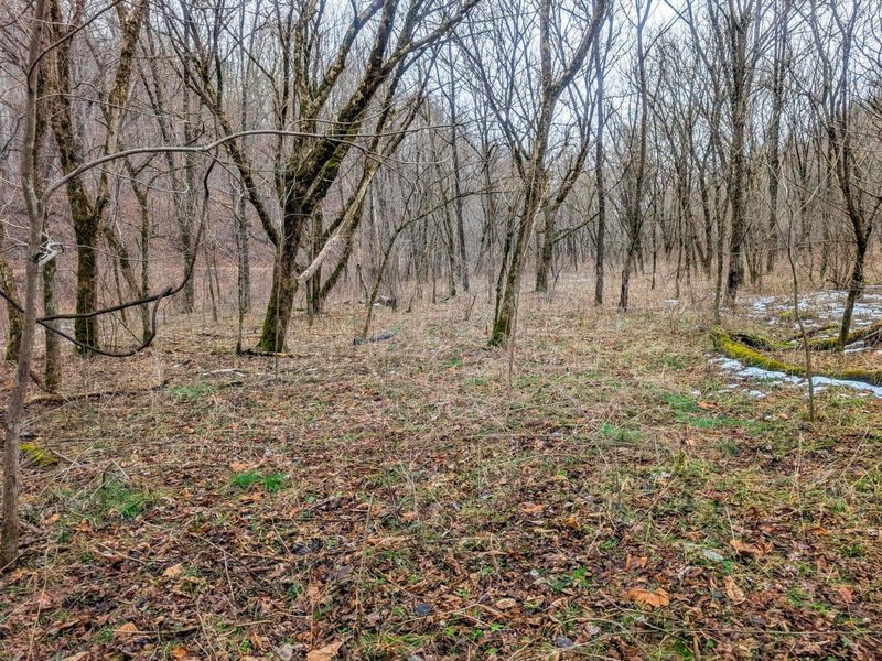 0 Tr 7 Edwina , Woodsfield, OH 43793 Photo 21