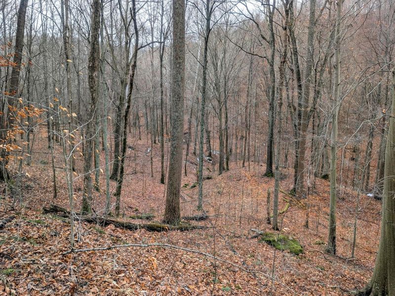 0 Tr 7 Edwina , Woodsfield, OH 43793 Photo 4