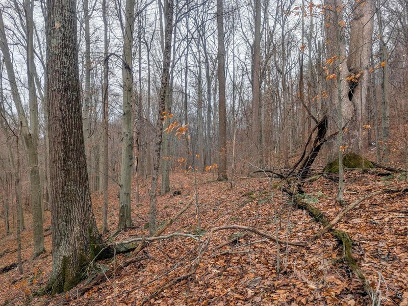 0 Tr 7 Edwina , Woodsfield, OH 43793 Photo 5