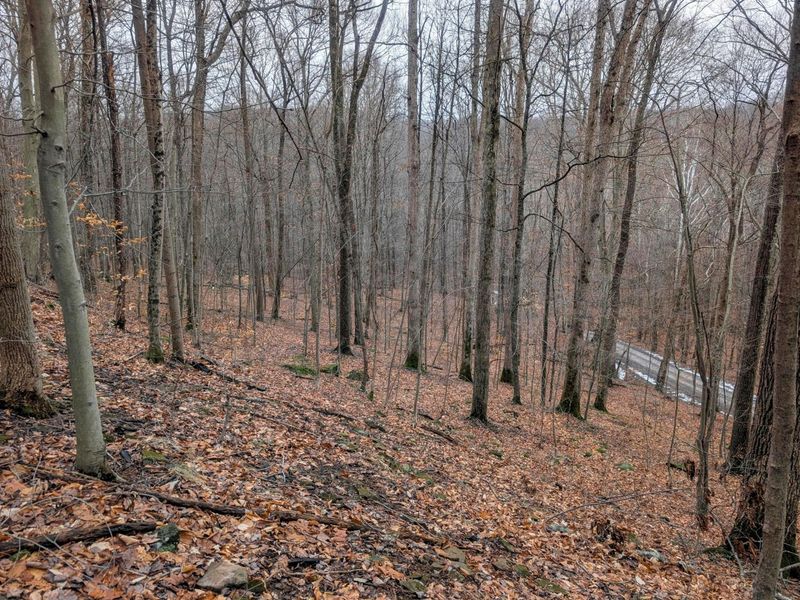 0 Tr 7 Edwina , Woodsfield, OH 43793 Photo 6