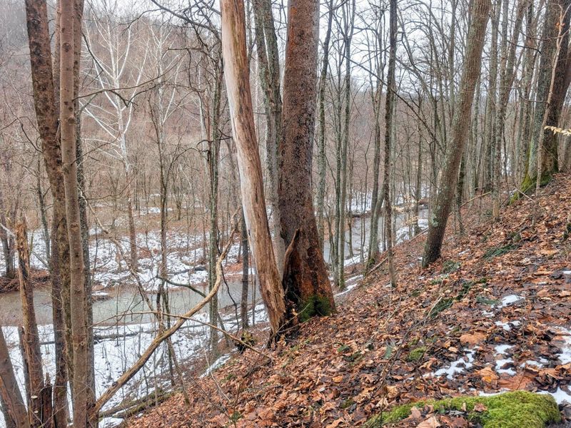 0 Tr 7 Edwina , Woodsfield, OH 43793 Photo 9