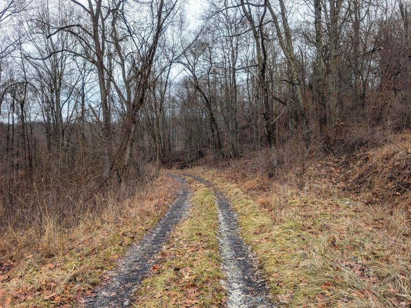 0 Tract 8 Barber Ridge Rd , Lewisville, OH 43754 Photo 11