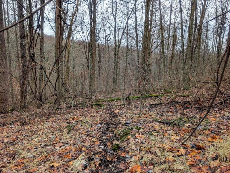 0 Tract 8 Barber Ridge Rd , Lewisville, OH 43754 Photo 12