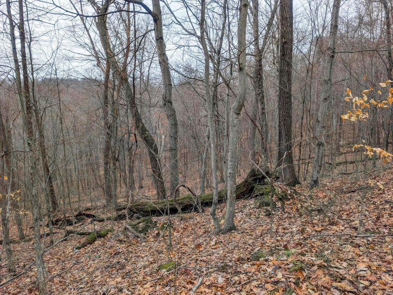 0 Tract 8 Barber Ridge Rd , Lewisville, OH 43754 Photo 13