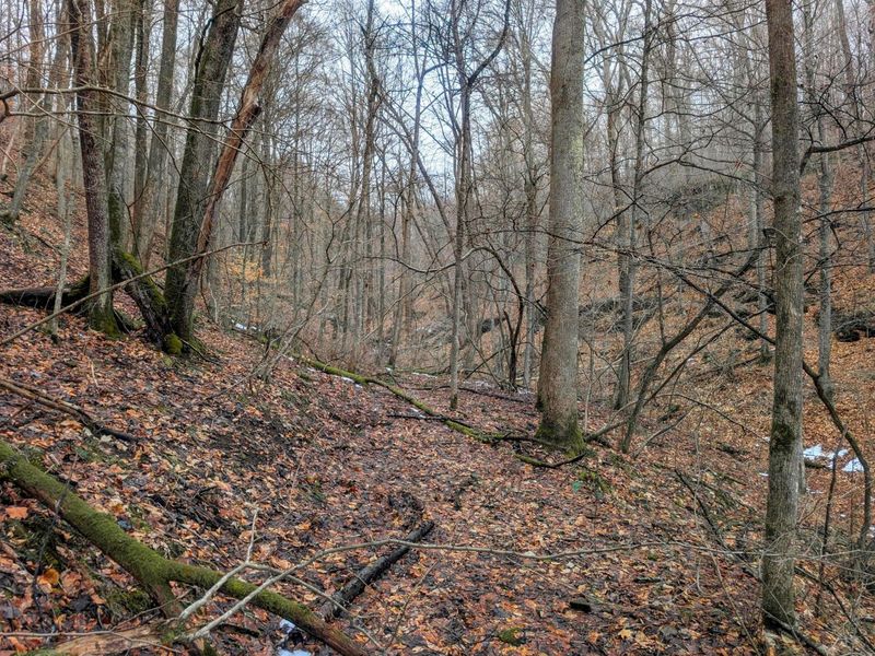 0 Tract 8 Barber Ridge Rd , Lewisville, OH 43754 Photo 14