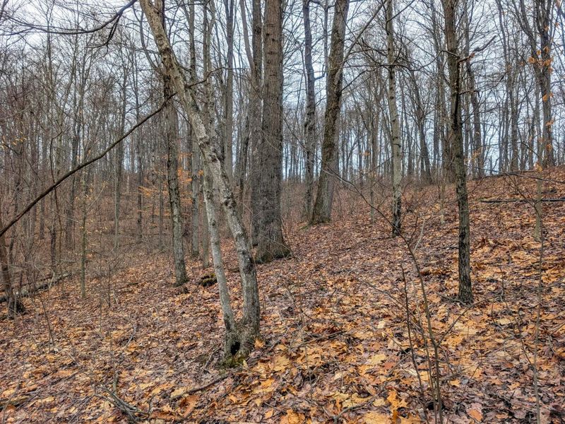 0 Tract 8 Barber Ridge Rd , Lewisville, OH 43754 Photo 16