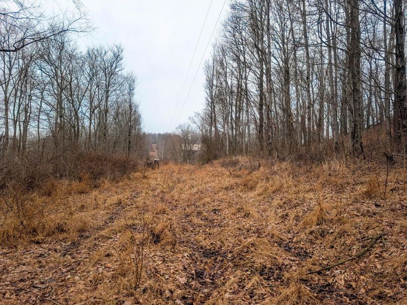 0 Tract 8 Barber Ridge Rd , Lewisville, OH 43754 Photo 17