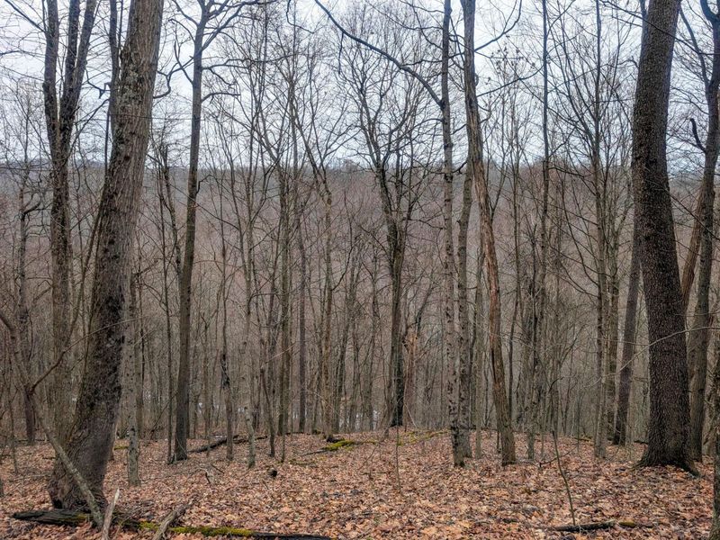 0 Tract 8 Barber Ridge Rd , Lewisville, OH 43754 Photo 20