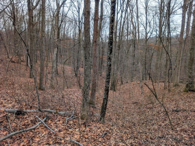 0 Tract 8 Barber Ridge Rd , Lewisville, OH 43754 Photo 21