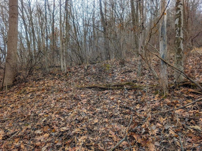 0 Tract 8 Barber Ridge Rd , Lewisville, OH 43754 Photo 22