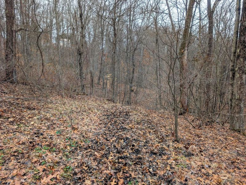 0 Tract 8 Barber Ridge Rd , Lewisville, OH 43754 Photo 23