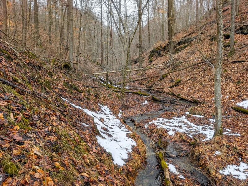 0 Tract 8 Barber Ridge Rd , Lewisville, OH 43754 Photo 25