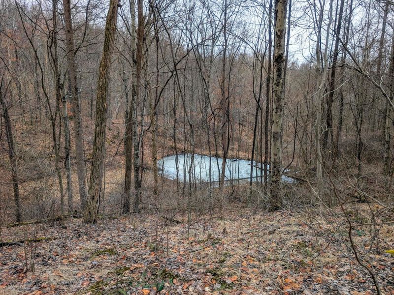 0 Tract 8 Barber Ridge Rd , Lewisville, OH 43754 Photo 27