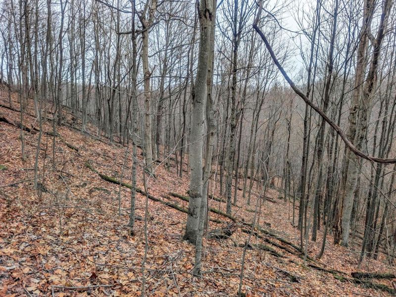 0 Tract 8 Barber Ridge Rd , Lewisville, OH 43754 Photo 28