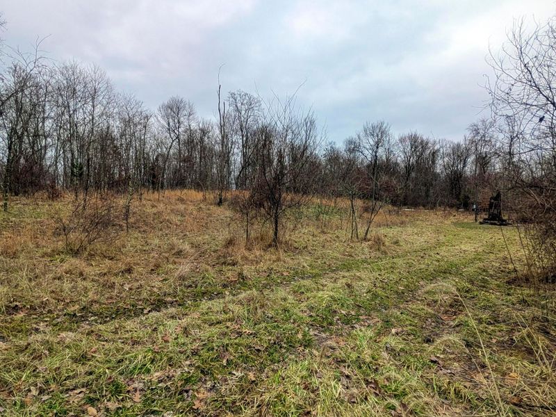 0 Tract 8 Barber Ridge Rd , Lewisville, OH 43754 Photo 30